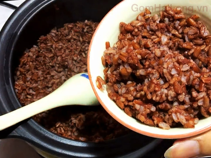 nau com gao lut nodacook