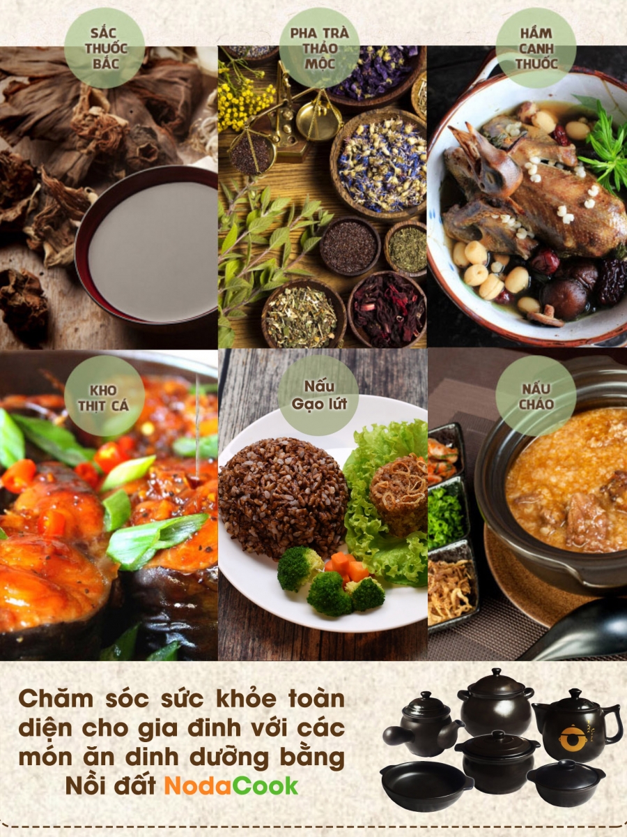 noi dat cao cap nodacook duong sinh