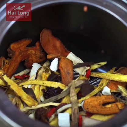 ấm sắc thuốc điện hẹn giờ 4 lít