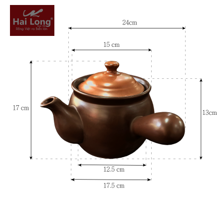 ấm sắc thuốc điện 2 lít Nodacook