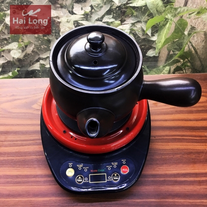Ấm sắc thuốc bắc bằng điện hẹn giờ 2L NodaCook Bát Tràng