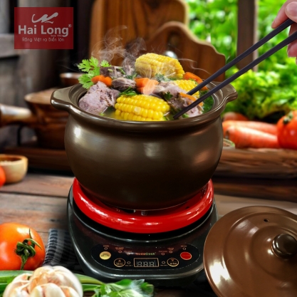 Nồi đất điện đa năng 2 lít NodaCook