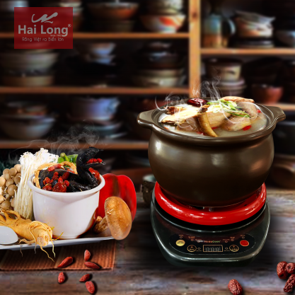 Nồi đất điện đa năng 2 lít NodaCook